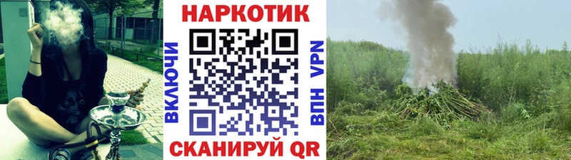 Где купить наркоту Эртиль COCAIN Амфетамин Бошки Шишки Галлюциногенные грибы СОЛЬ