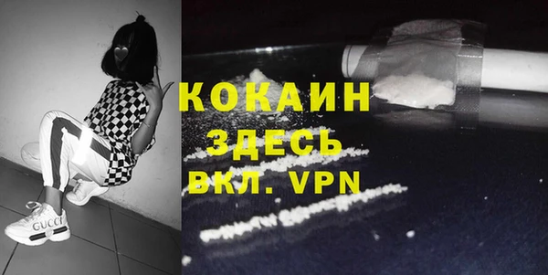 стафф Алзамай
