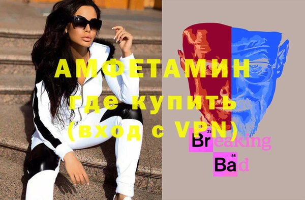 стафф Алзамай