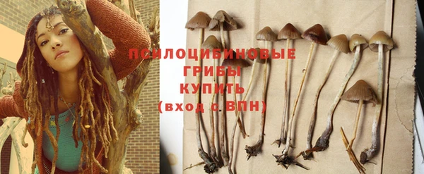 хмурый Алексеевка