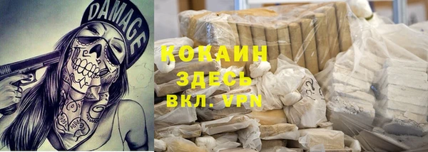 дмт Алексин