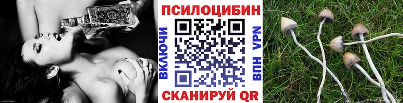 купить  сайты  Эртиль  Псилоцибиновые грибы ЛСД 